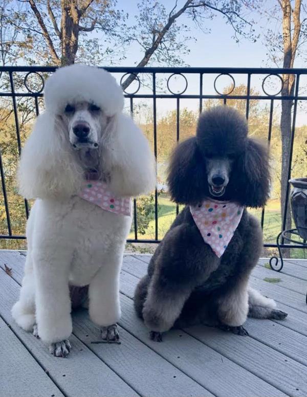 /Images/uploads/Congregation Beth Emeth/bethemeth/entries/17638thumb.jpg